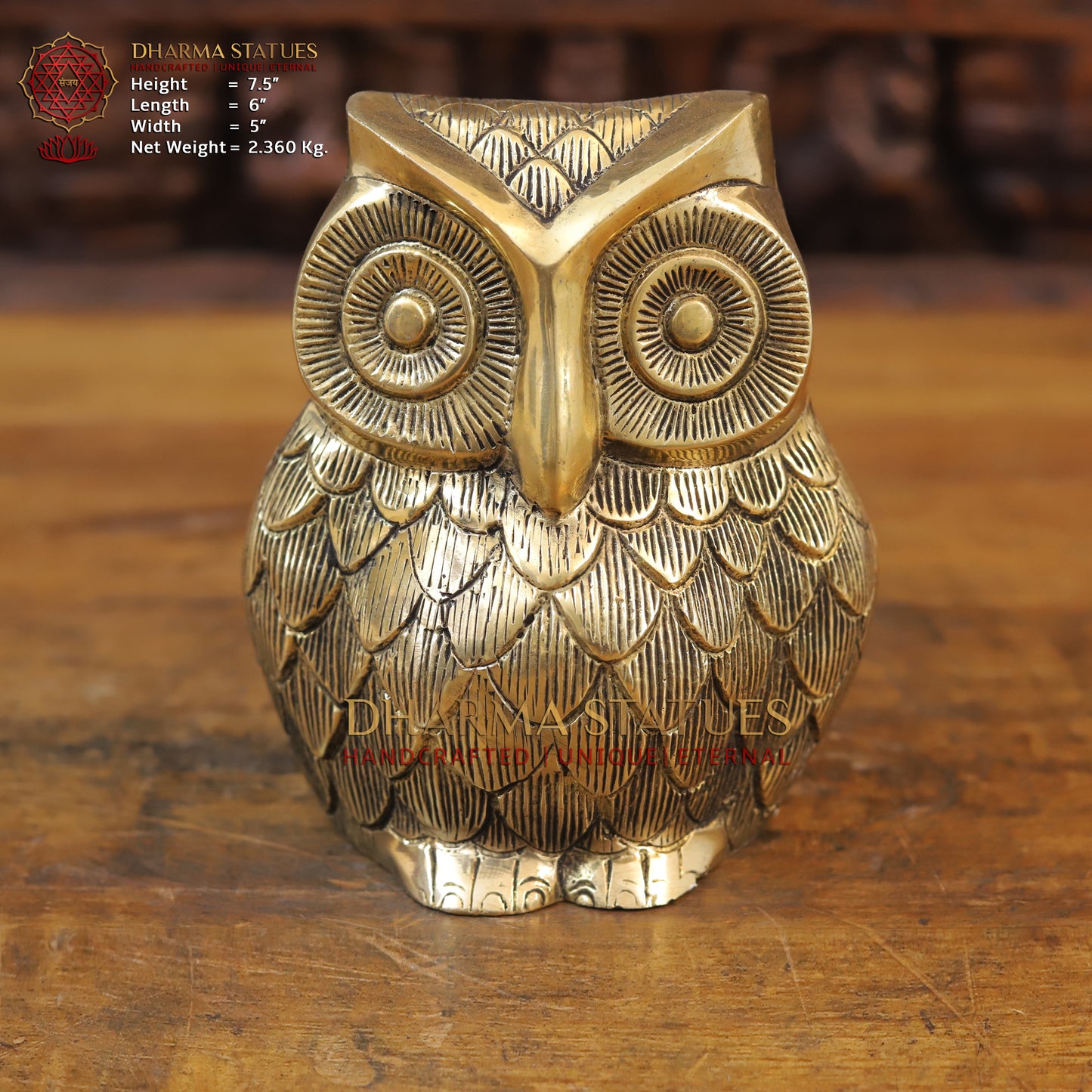 Brass Owl Statue, Fine Golden Finish, 7.5"