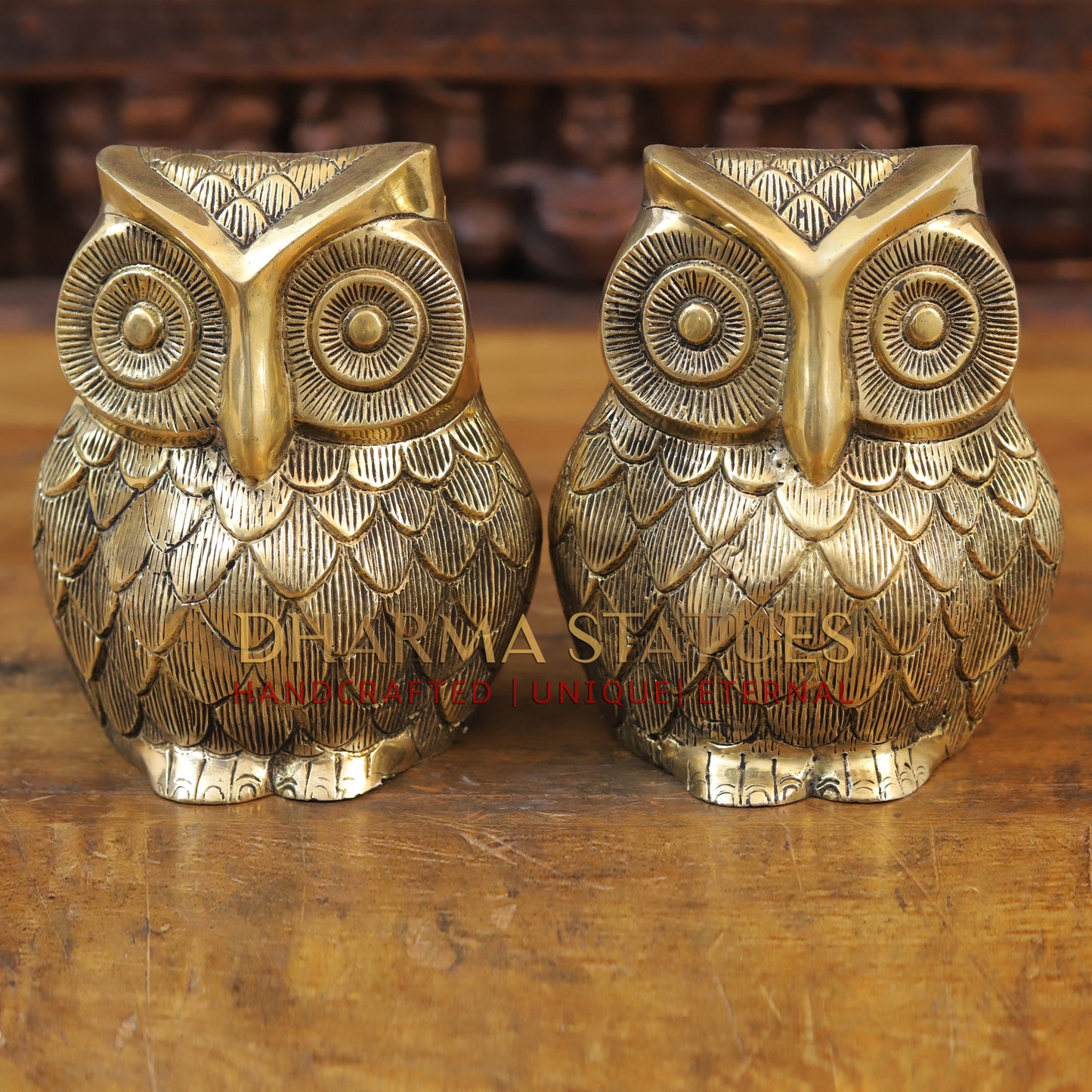 Brass Owl Statue, Fine Golden Finish, 7.5"