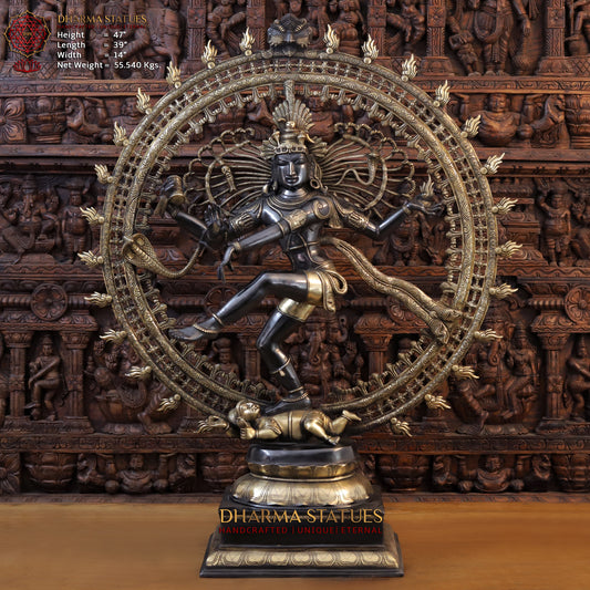 Brass Nataraja Statue with Frame, Black Patina & Golden Finish, 47"