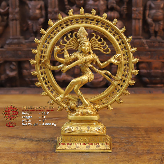 Brass Nataraja Statue, Dancing Shiva, Fine Gold Finish, 13.5"