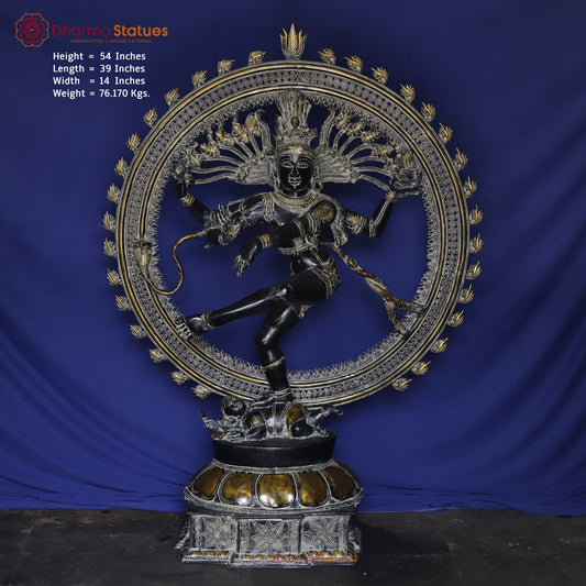 Brass Nataraja in Dancing Posture with Frame, Antique Finish 54"