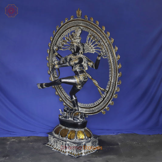 Brass Nataraja in Dancing Posture with Frame, Antique Finish 54"