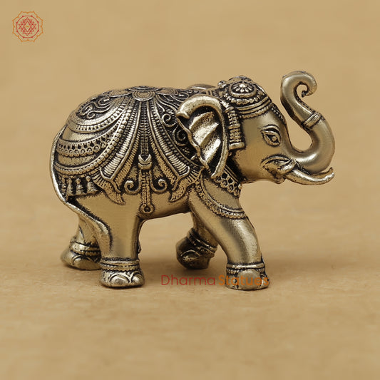 Brass Elephant Fine, 1.5"