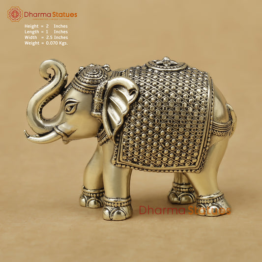Brass Elephant Fine, 2"