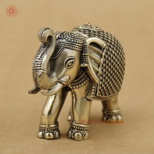 Brass Elephant Fine, 2.5"
