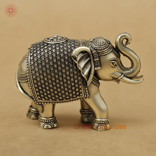 Brass Elephant Fine, 2.5"