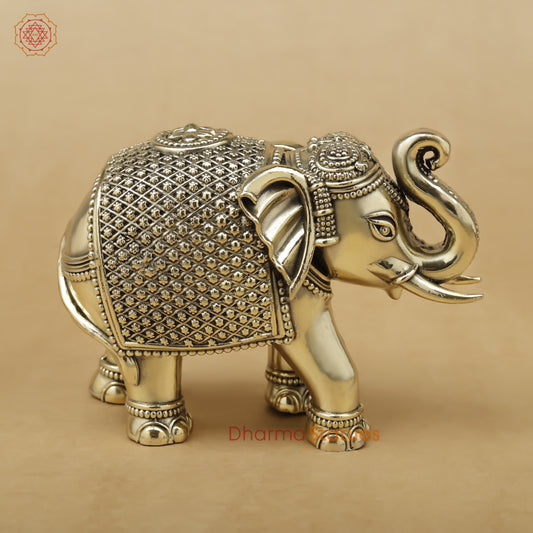 Brass Elephant Fine, 4"