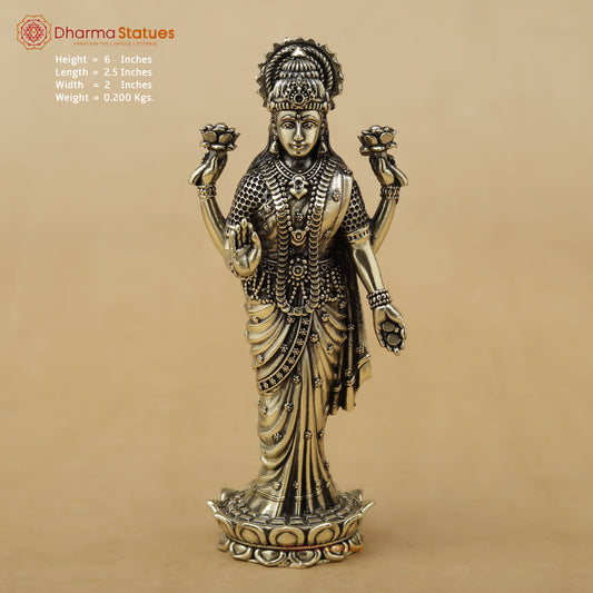 Brass Lakshmi Fine, 6"