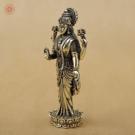 Brass Lakshmi Fine, 6"