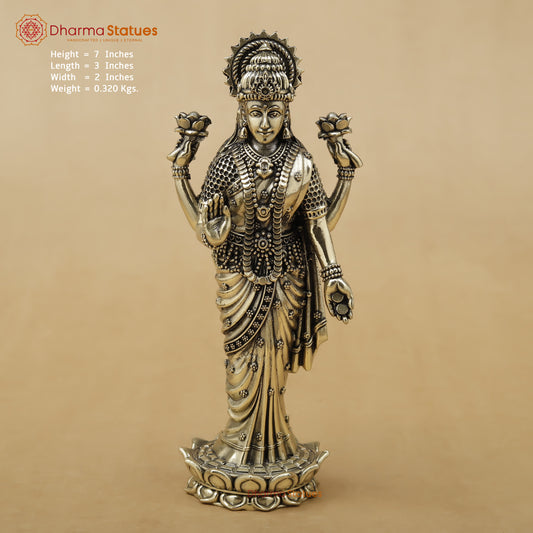 Brass Lakshmi Fine, 7"