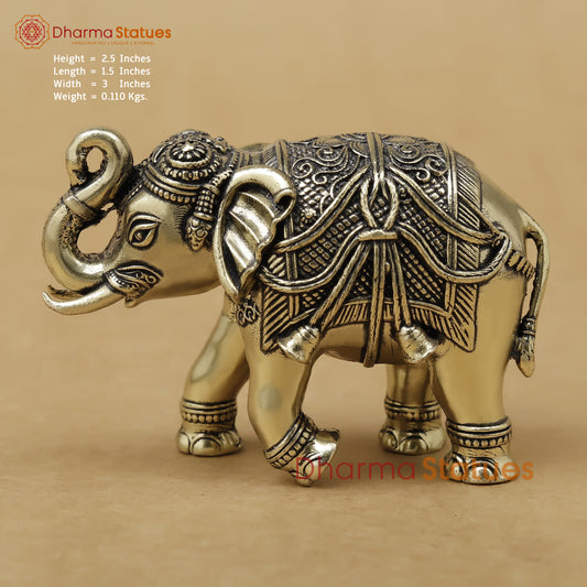 Brass Elephant Fine, 2.5"