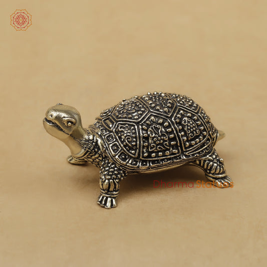 Brass Tortoise Fine, 1.5"