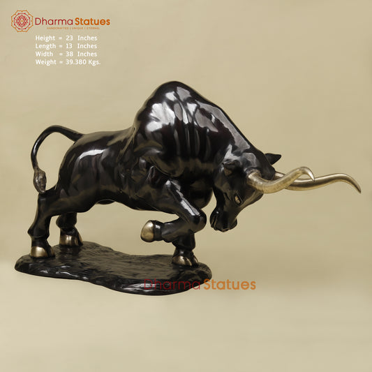 Brass Bull, Royal Black Patina with Golden Finish, 23"