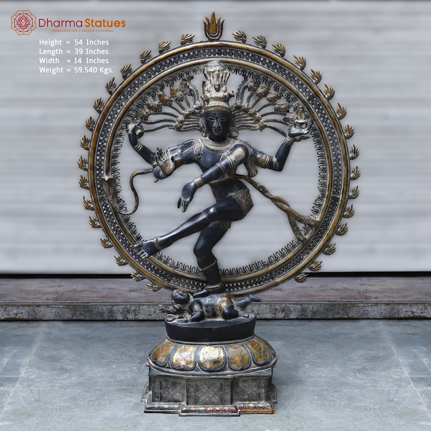 Brass Nataraja, Dancing Shiva, Black Patina & Golden Finish, 54"