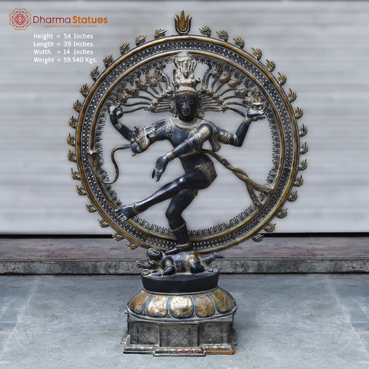 Brass Nataraja, Dancing Shiva, Black Patina & Golden Finish, 54"