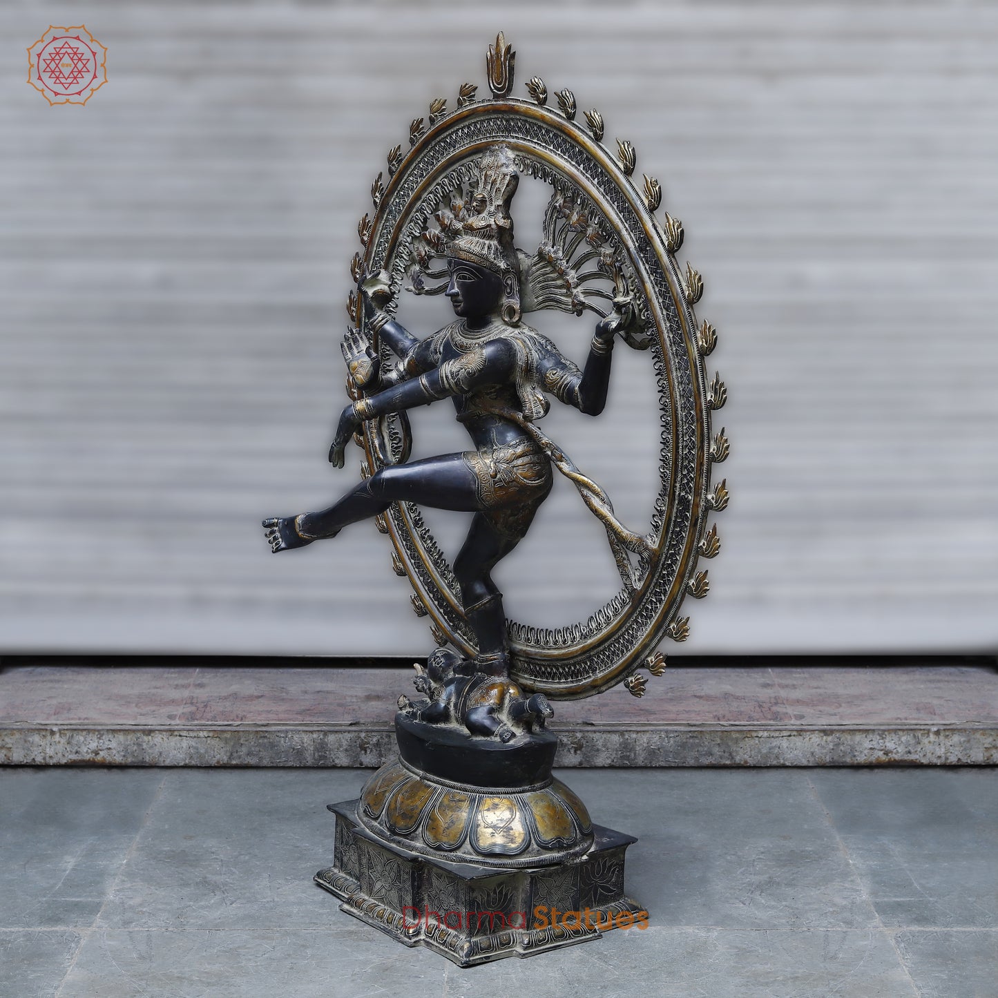 Brass Nataraja, Dancing Shiva, Black Patina & Golden Finish, 54"