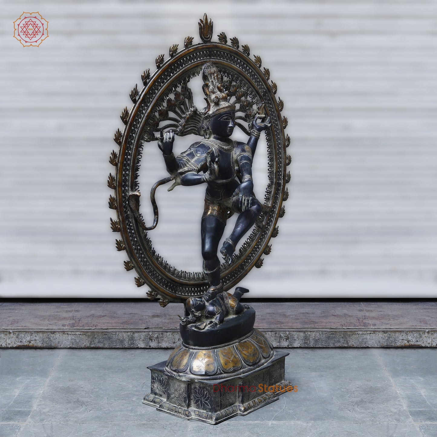 Brass Nataraja, Dancing Shiva, Black Patina & Golden Finish, 54"
