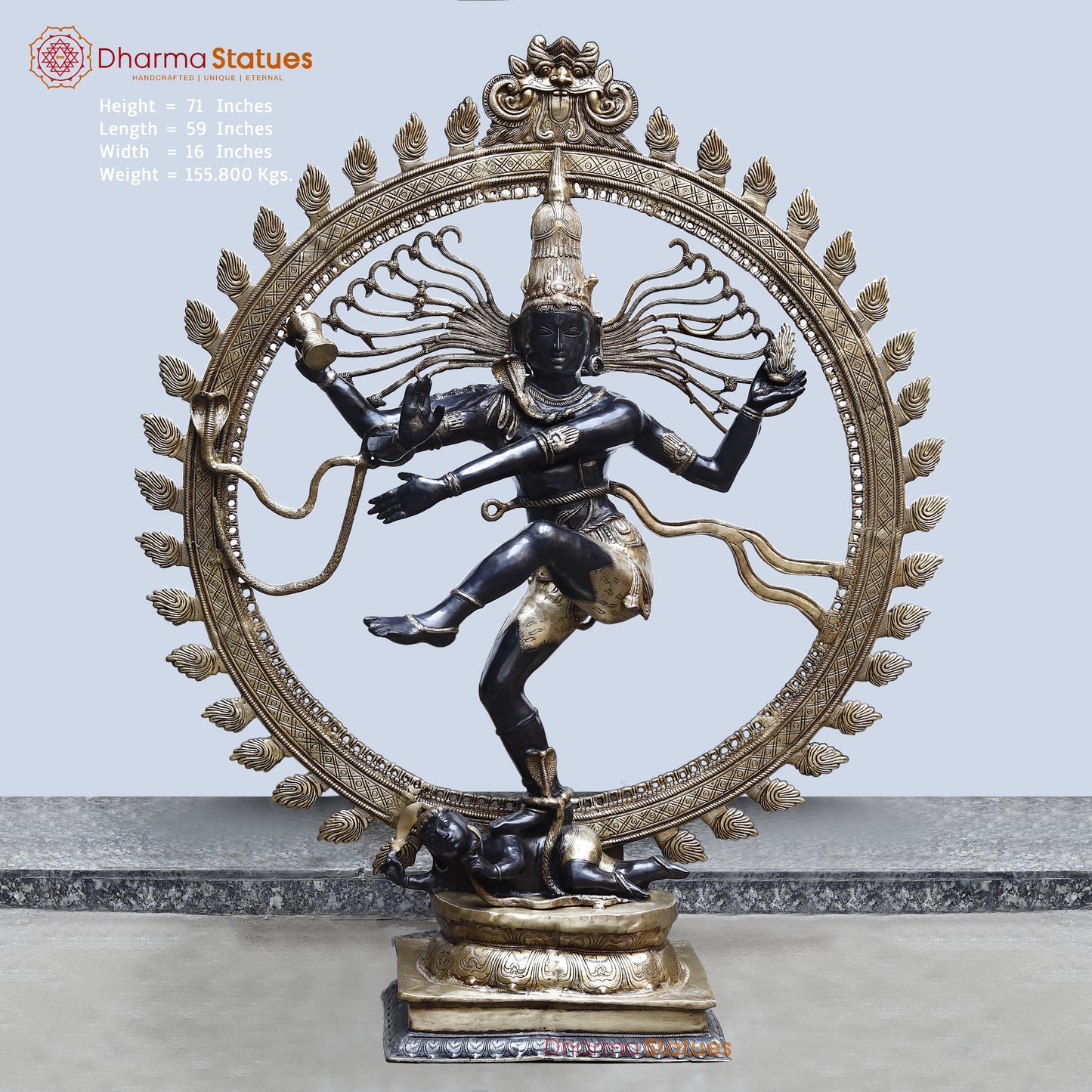 Brass Nataraja, Dancing Shiva, Black Patina & Golden Finish, 71"