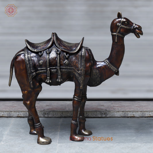 Brass Camel, Copper & Golden Finish, 49"
