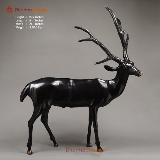 Brass Deer, Black Patina with Golden Finish, 35.5"