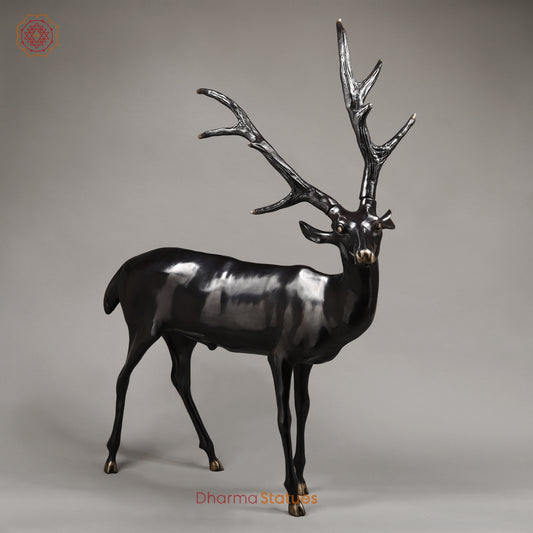 Brass Deer, Black Patina with Golden Finish, 35.5"