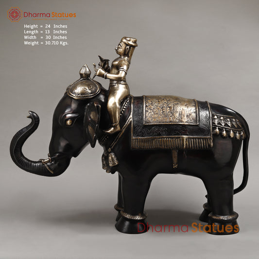 Brass Elephant with Rider, Black Patina & Golden Finish, 24"