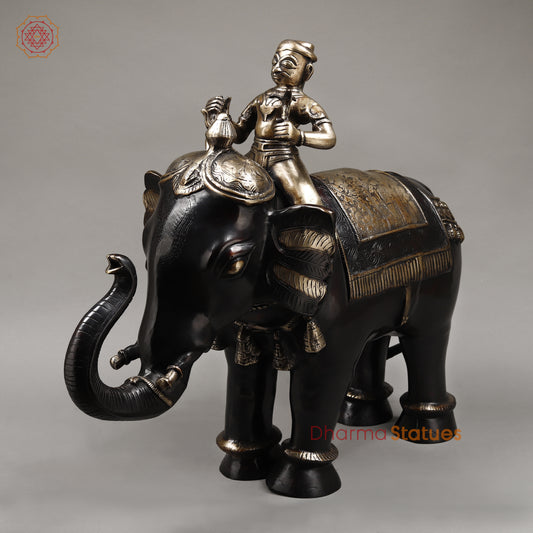 Brass Elephant with Rider, Black Patina & Golden Finish, 24"