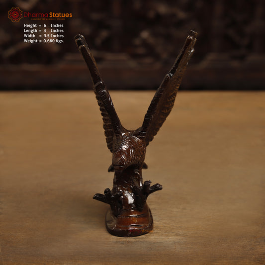 Brass Eagle Hawk, Copper Finish & Golden Finish, 6"