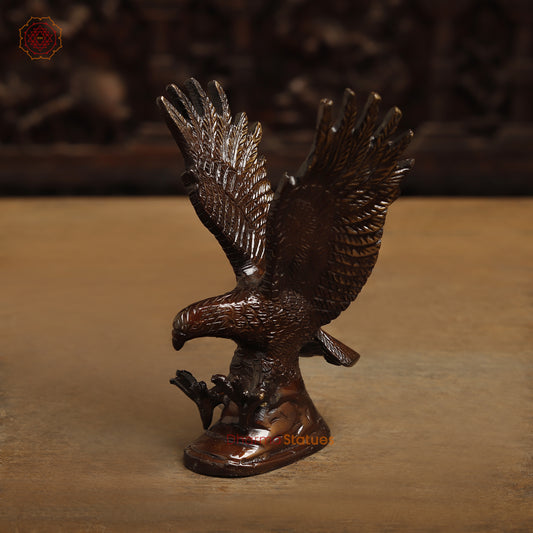 Brass Eagle Hawk, Copper Finish & Golden Finish, 6"