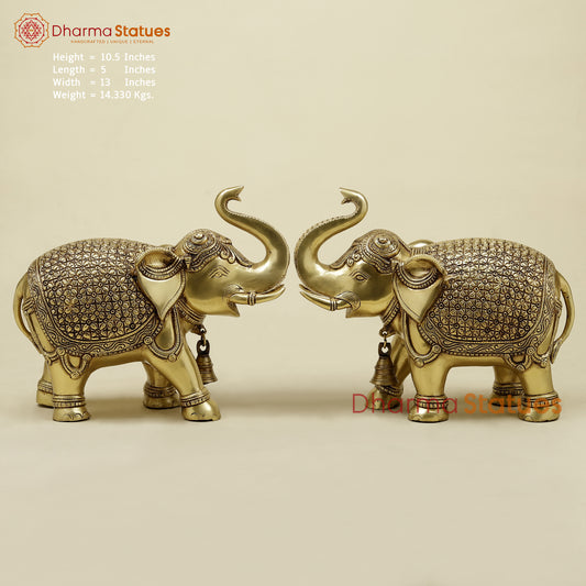 Brass Elephant Pair, Golden Finish, 10.5"