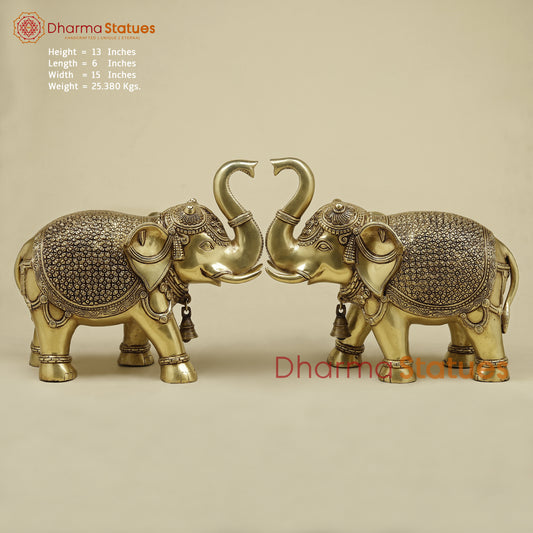 Brass Elephant, Fine Golden Finish, 13"