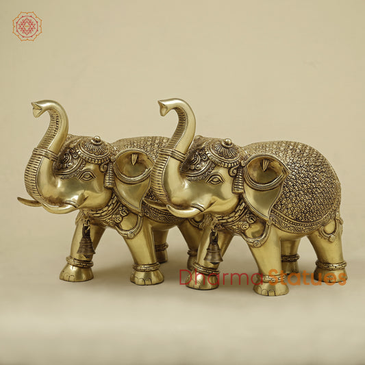 Brass Elephant, Fine Golden Finish, 13"