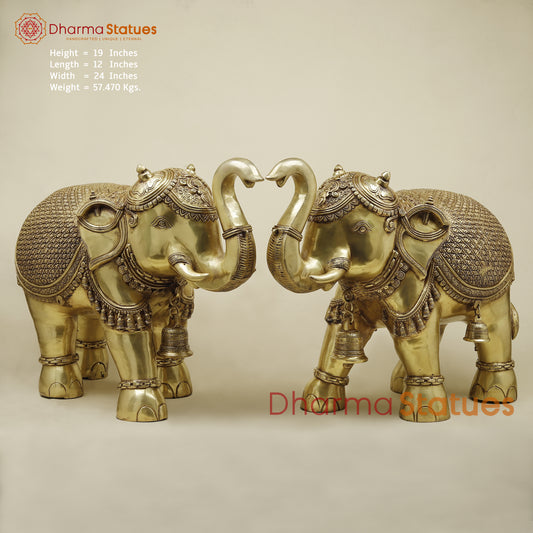 Brass Elephant, Fine Golden Finish, 19" (PAIR)