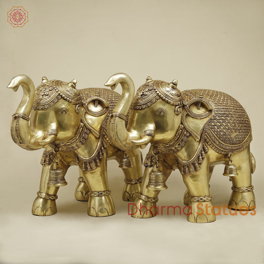 Brass Elephant, Fine Golden Finish, 19" (PAIR)
