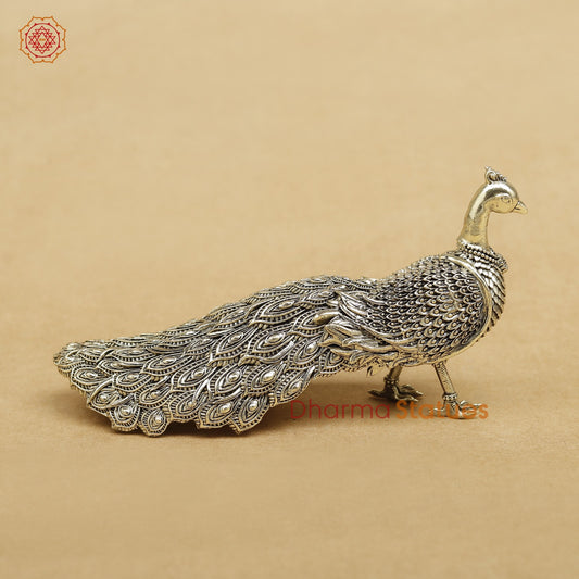 Brass Peacock fine 6”