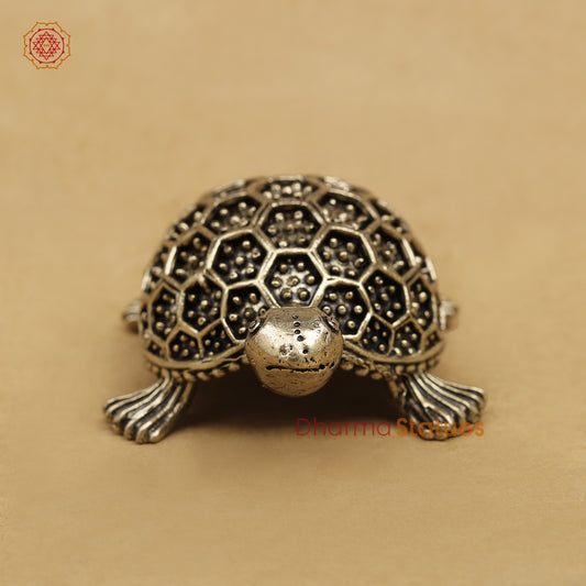 Brass Tortoise Fine 3.5” (Vastu Friendly)