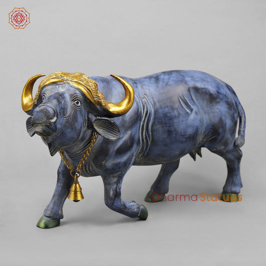 Brass Buffalo With Golden Horns, Antique Turquoise Finish 23”