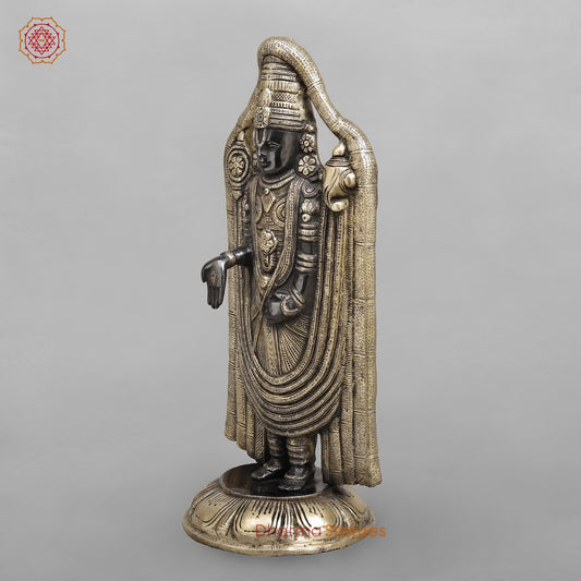 Brass Tirupati Balaji Fine, Royal Black Finish 19"