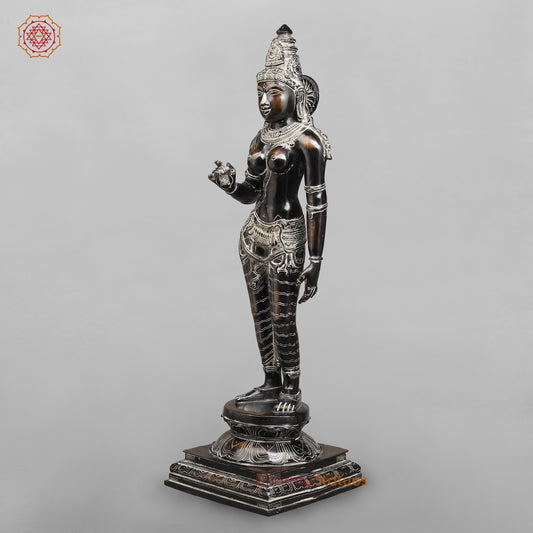 Brass Parwati Standing Fine (South Indian Style) Fine, Antique Rustic Finish 27”