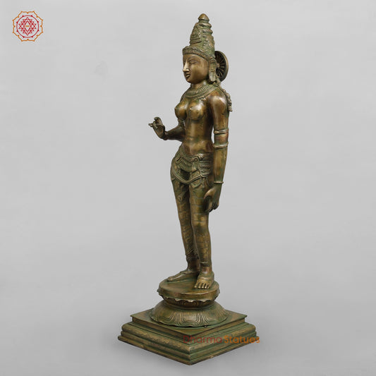Brass Parwati fine Standing , Antique Bronze Finish fine 27”