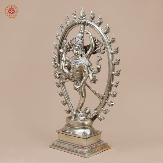 Brass Tandav Natraj fine, Silver Finish 25”