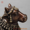 Brass Nandi Seated Fine, Rich Brown Finish 22”