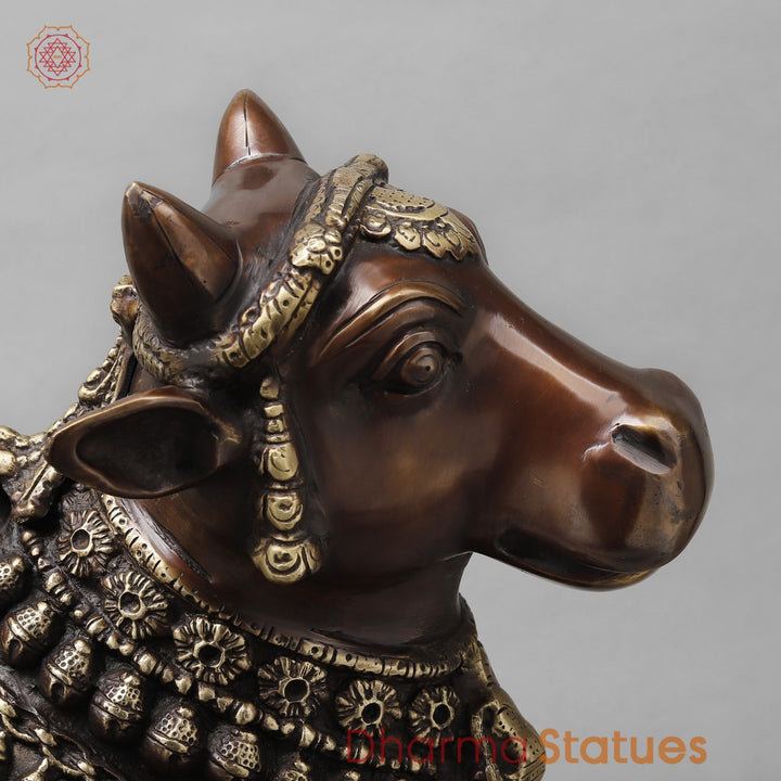 Brass Nandi Seated Fine, Rich Brown Finish 22”