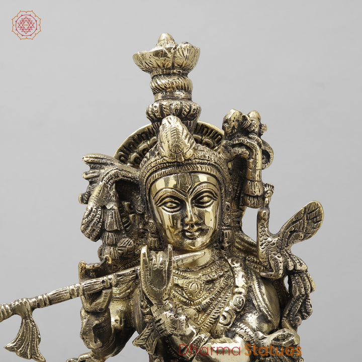 Brass Cow krishna Fine, Smooth finish 17”