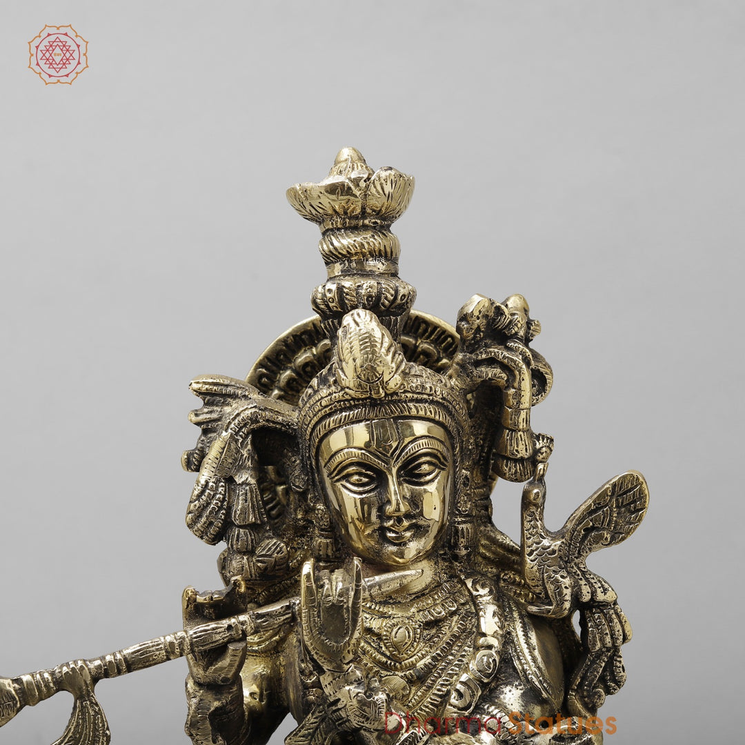 Brass Cow krishna Fine, Smooth finish 17”