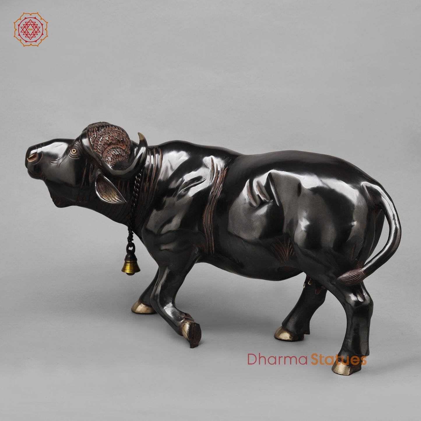 Brass Standing Buffalo, Deep Black finish 23”