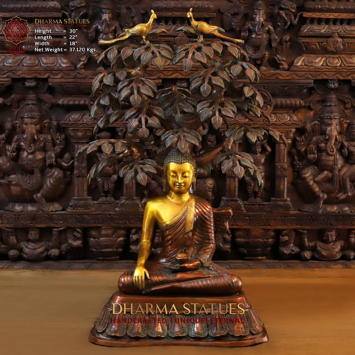 Brass Buddha Idol, Buddha seated under Tree, Copper and Golden Finish 30" Front View