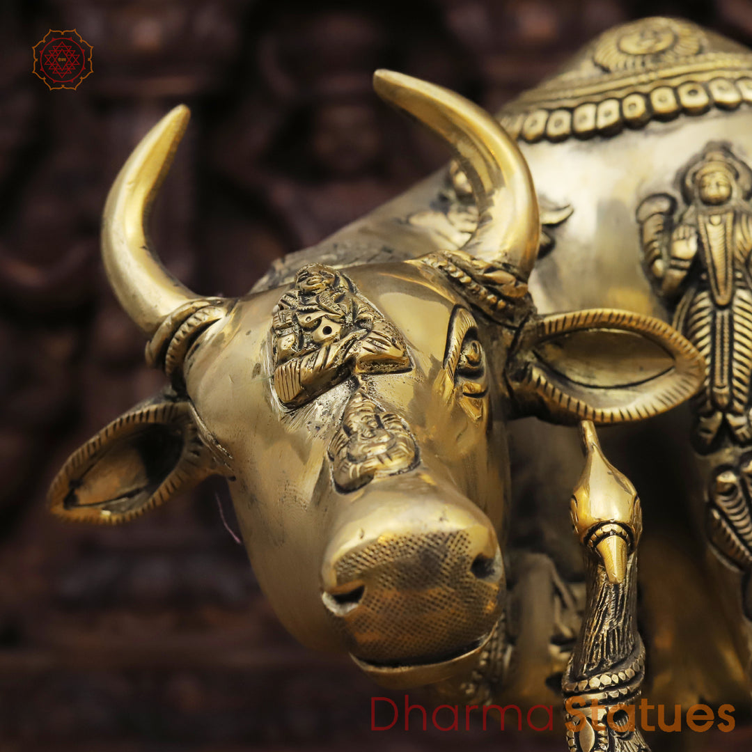 Brass Bal Krishna with Kamdhenu Cow, Blessings of Abundance, Golden Fine Finish, 13"