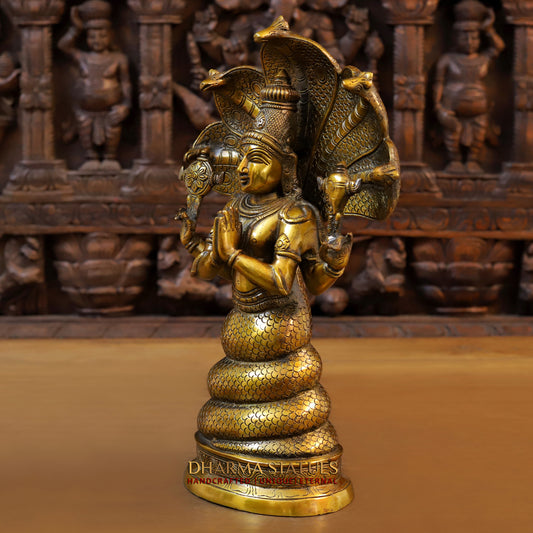 Brass Patanjali, Fine Golden Finish, 15.5"