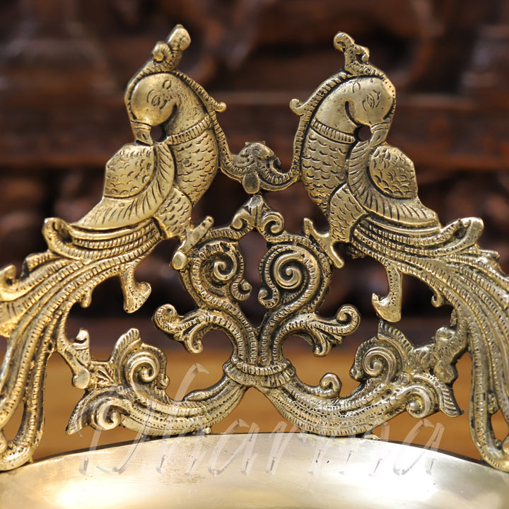 Brass Peacock Diya, Fine Golden Finish 9.5"